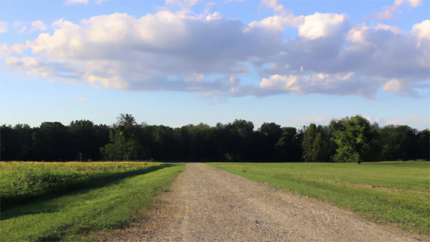 Maryland Land Buyers: How to Compare Direct Cash Offers Maryland land guide